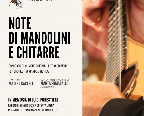 Note di Mandolini e Chitarre